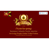 Nyan-Ko-Pong Sovereign Maroon Global Tribal Nation Territories logo - Similar company to Mathwhiz Academy