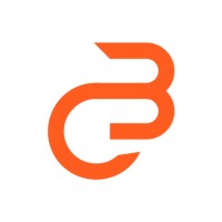 Borderless Coders logo - Similar company to Boston Education & Counseling