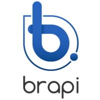 BRAPI logo - Similar company to Crai - Club Des Responsables D'Achats Informatiques