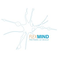 FlexMind logo - Similar company to Theorem Technology
