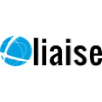 LIAISE logo - Similar company to Tdz Games