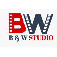 BlueWhiteStudio logo - Similar company to Vmit