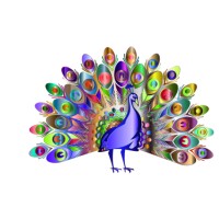 The Peocock Group, Llc