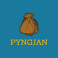 Pyngjan logo - Similar company to Apparatus