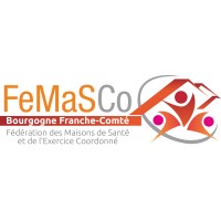 FeMaSCo-BFC logo - Similar company to Shift Copy.
