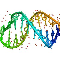 Just-DNA-Seq logo - Similar company to Mitospace