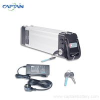 Sliver fish electric bike lithium battery 24v 36v 48v for motorbike logo - Similar company to Neal Lau