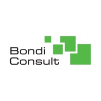 Bondi Consult logo - Similar company to Car Check 360 Software
