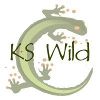KLAMATH SISKIYOU WILDLANDS CENTER logo - Similar company to Ks Wild