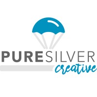 Pure Silver Creative logo - Similar company to The Eczema Sample Store