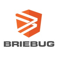 Briebug logo - Similar company to Exotix Technology