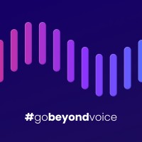 BeyondVoice logo - Similar company to Four Square Group