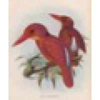 Halcyon Services LLC logo - Similar company to Halcyon Services Inc.