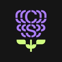 Cult Studio logo - Similar company to Cdd
