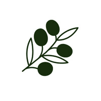 Branch Care logo - Similar company to Braincraft Studios