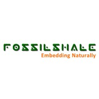Fossilshale Embedded Technologies