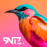 Senitza logo - Similar company to Learning Library Inc