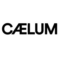 CAELUM CONSULTING logo - Similar company to Samonix