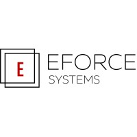 Eforce Systems, Inc logo - Similar company to Eforce