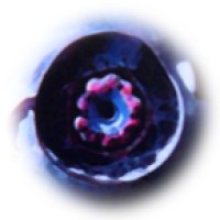 Ocunext Inc.