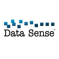 Data Sense Consulting logo - Similar company to Cloud Asterisk