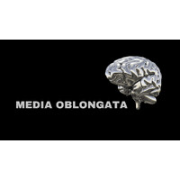 Media Oblongata logo - Similar company to Digital Self