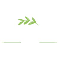 joyshop2 logo - Similar company to Joyshop Srl