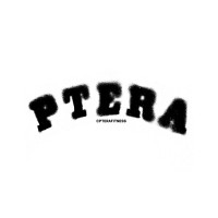 PTERA logo - Similar company to Ptera Inc.