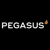 Pegasus Commercial Finance logo - Similar company to Pegasus Finance