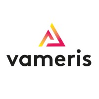 Vameris logo - Similar company to Luce-Ms Sa