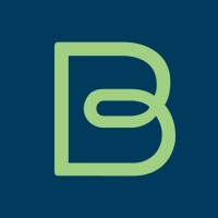 Brainspring Orton-Gillingham logo - Similar company to Express Readers