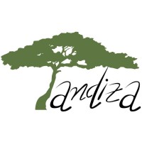 Tandiza Zambia Finance Ltd logo - Similar company to Goodfellow Finance Limited