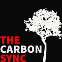 The Carbon Sync