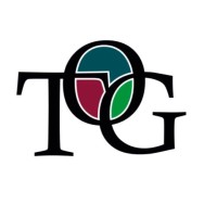 Studio TOG logo - Similar company to Team Plàmia