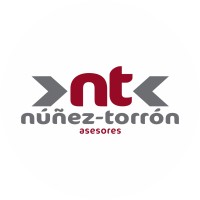 NUÑEZ-TORRON asesores S.L logo - Similar company to Perusiñas