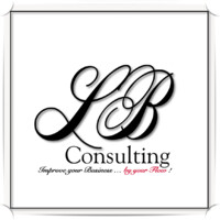 LB Consulting logo - Similar company to Extrum Outsourcing
