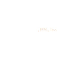 Pn Inc logo - Similar company to Mo Conseil