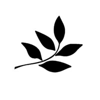 Amazon Wood Floors logo - Similar company to Andor Willow