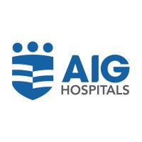 AIG Hospitals logo - Similar company to Pfc Pharma Focus