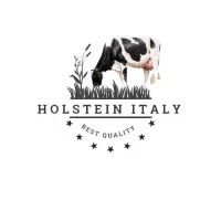 Holstein Italy logo - Similar company to Conafe - Confederación De Asociaciones De Frisona Española