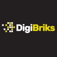 DIGIBRIKS France logo - Similar company to Ekooz