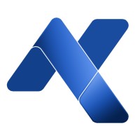 NeKee Infotech logo - Similar company to Binary Bird