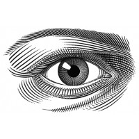 Kevin Sprouls Illustration