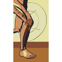 ADAPTIVE PROSTHETICS & ORTHOTICS LLC logo - Similar company to South Beach Prosthetics Inc.