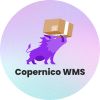 Copernico WMS logo - Similar company to Prosmart