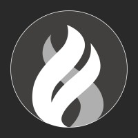 Fenyx logo - Similar company to Shieldwall Solutions Ga Inc.