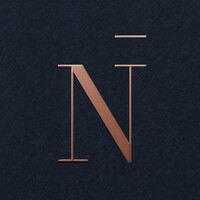 Nila Spaces Ltd logo - Similar company to Nila Spaces