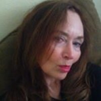 TheLegacyVault logo - Similar company to Bushwick Gallery