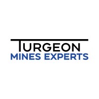 Turgeon Mine Experts logo - Similar company to Geolas