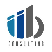 IIB IT Staffing & Consulting Solutions logo - Similar company to Staffing Consultant